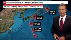 typhoon hagibis forecast_00011324.jpg