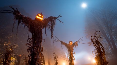 Scarecrows gone wild! Haunted Overload is set on a farm.