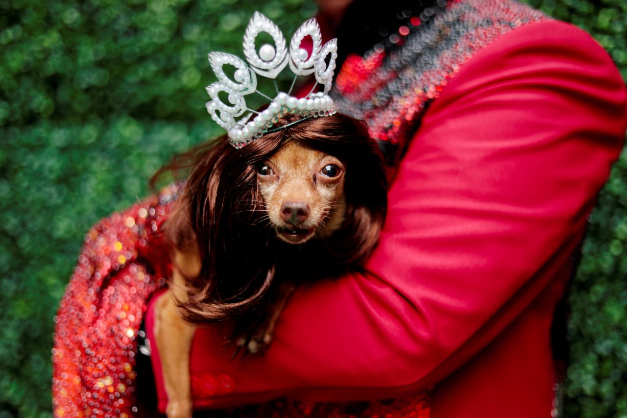 A dog dressed as Miss Universe takes part in a pet fashion show in Quezon City, Philippines, on Sunday, October 6. 