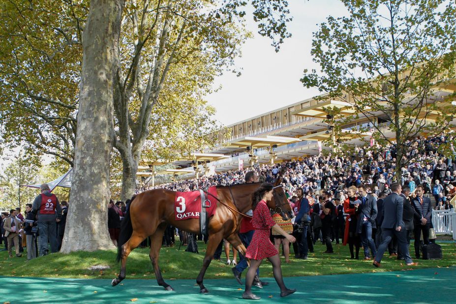 The parade ring offered a chance for punters to study the horses close-up and for racing's "beau monde" to see and be seen.   