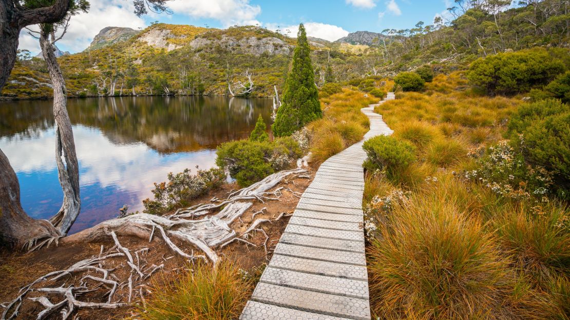 Many Tasmanian devils call Cradle Mountain home.