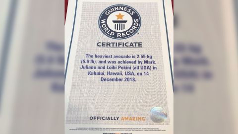 The family's world record certificate from the Guinness Book of World Records.