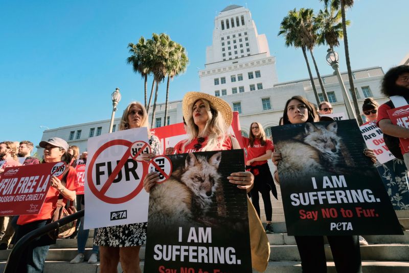 California Becomes The First State To Ban Fur Products Cnn 2023