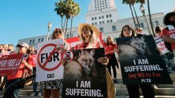 In this Sept. 18, 2018, file photo, Margo Paine, center, joins protesters with the People for the Ethical Treatment of Animals (PETA) holding signs to ban fur in Los Angeles prior to a news conference at Los Angeles City. California will be the first state to ban the sale and manufacture of new fur products and the third to bar most animals from circus performances under a pair of bills signed Saturday, Oct. 12, 2019 by Gov. Gavin Newsom.