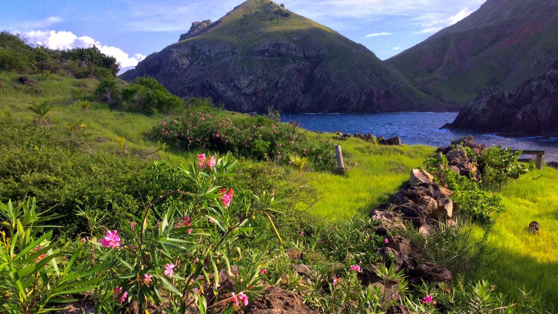 <strong>Lush landscapes:</strong> The island's vegetation varies according to altitude and precipitation patterns.