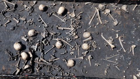 A layer of warrior skeletons uncovered at the Tollense Valley site.