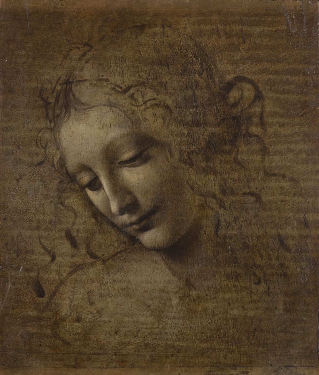Head of a Woman (Las Scapigliata) is unfinished, like many other Leonardo works.