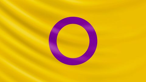 intersex flag STOCK