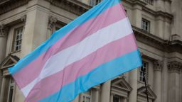 A transgender flag being waved at LGBT gay pride march; Shutterstock ID 1449773756;