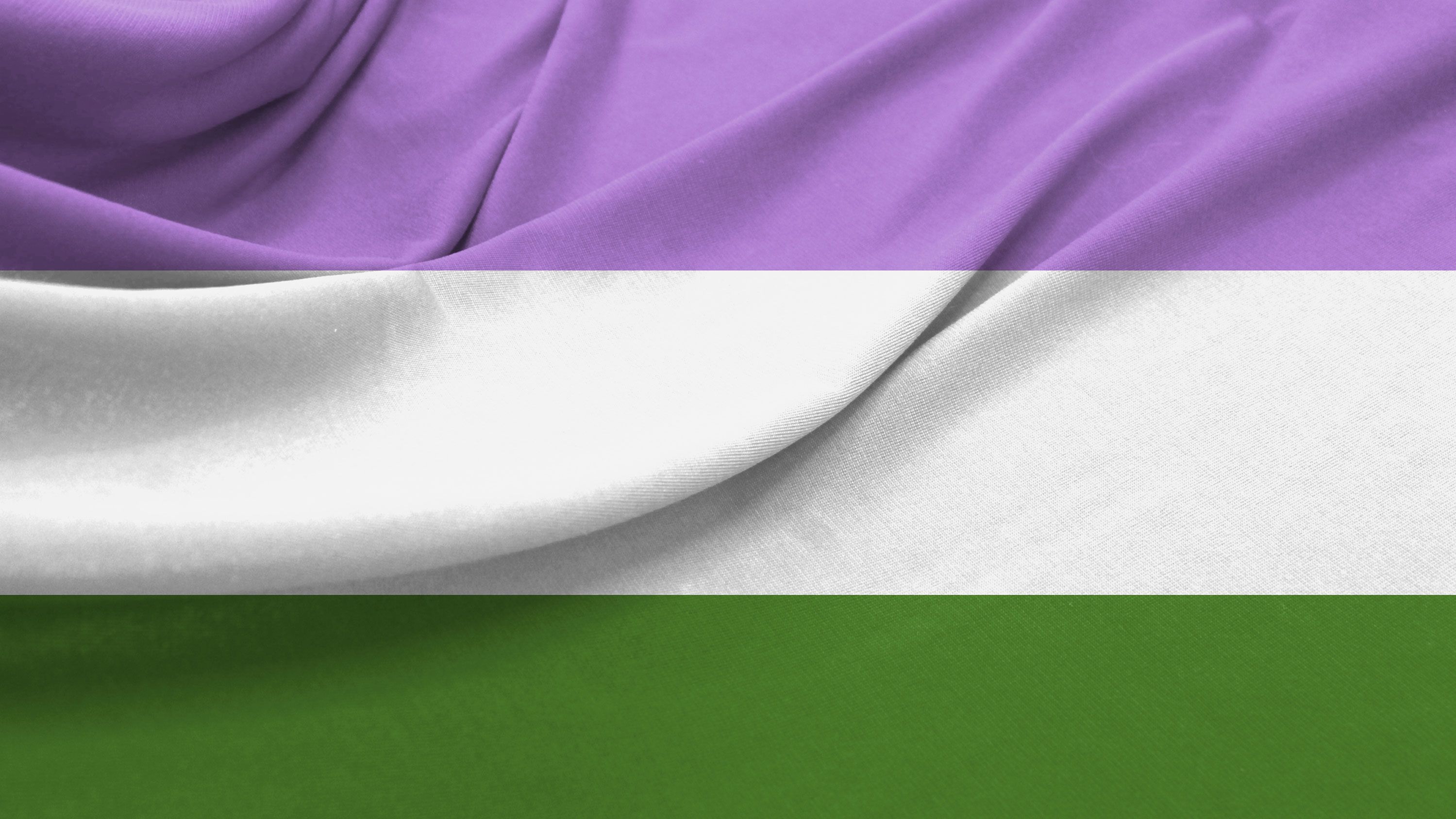 genderqueer flag STOCK