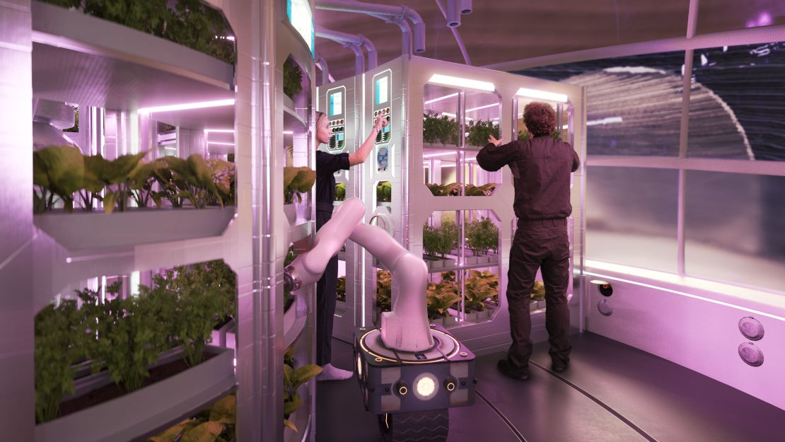 The Hassell habitat includes hydroponics.