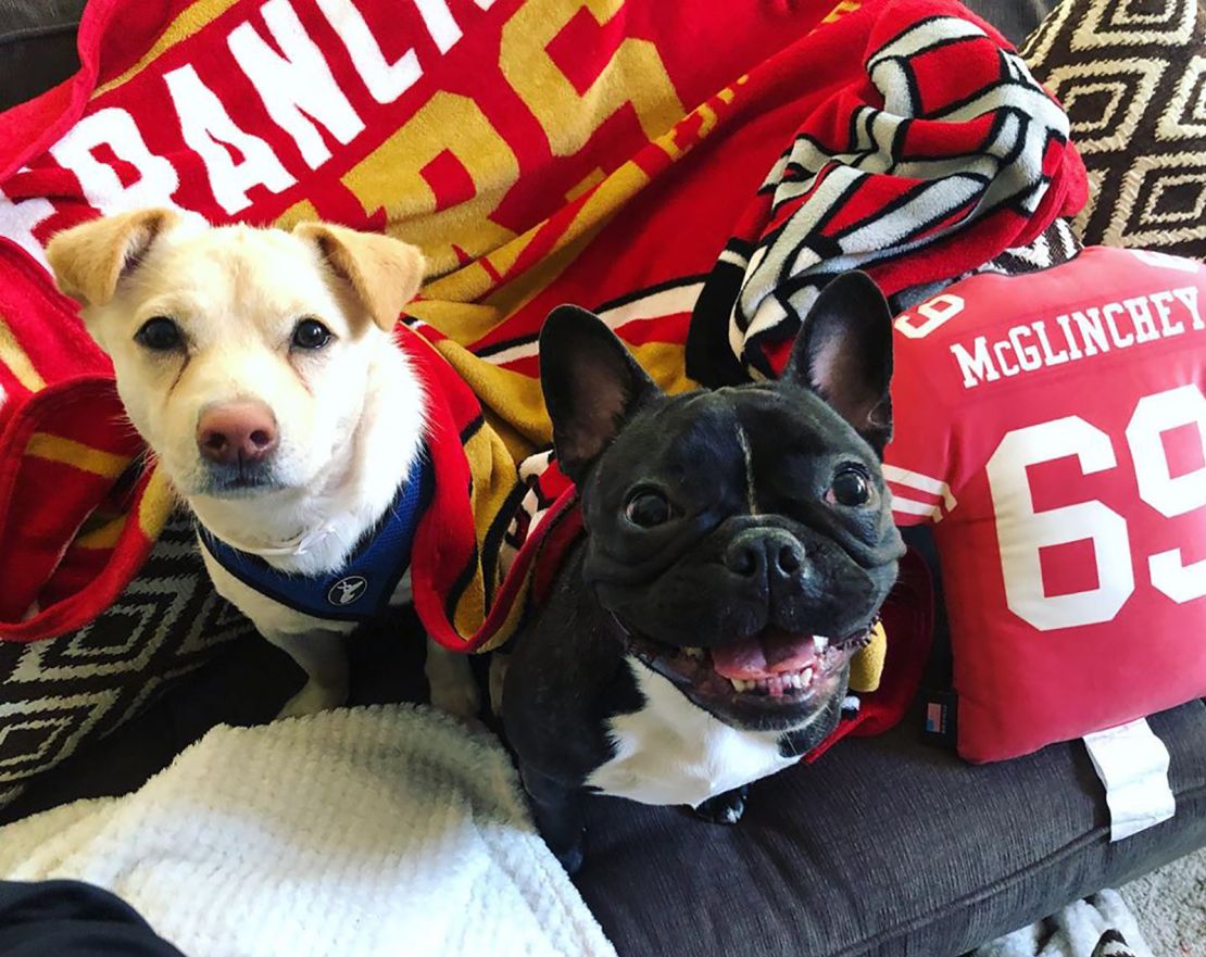 Zoë, the 49ers emotional support puppy, is the team's cutest MVP