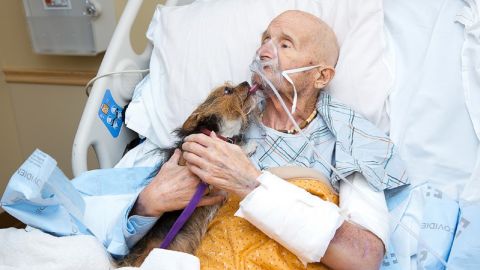 01 Veteran reunited with dog