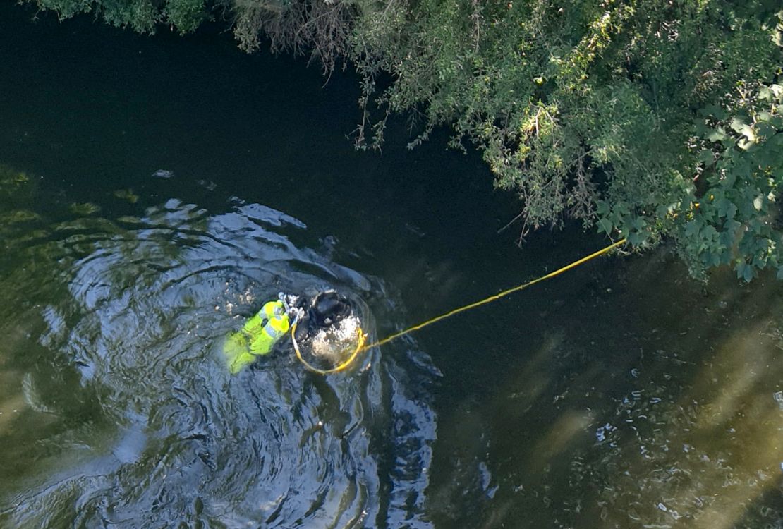 A police diver searches for evidence in the River Spree, close to where Khangoshvili was murdered. 