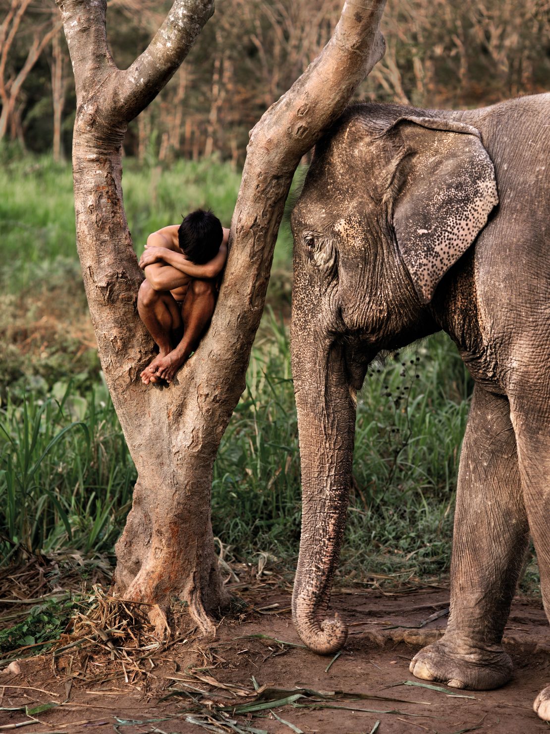 A Mahout and his elephant at a sanctuary. Chiang Mai, Thailand, 2010.