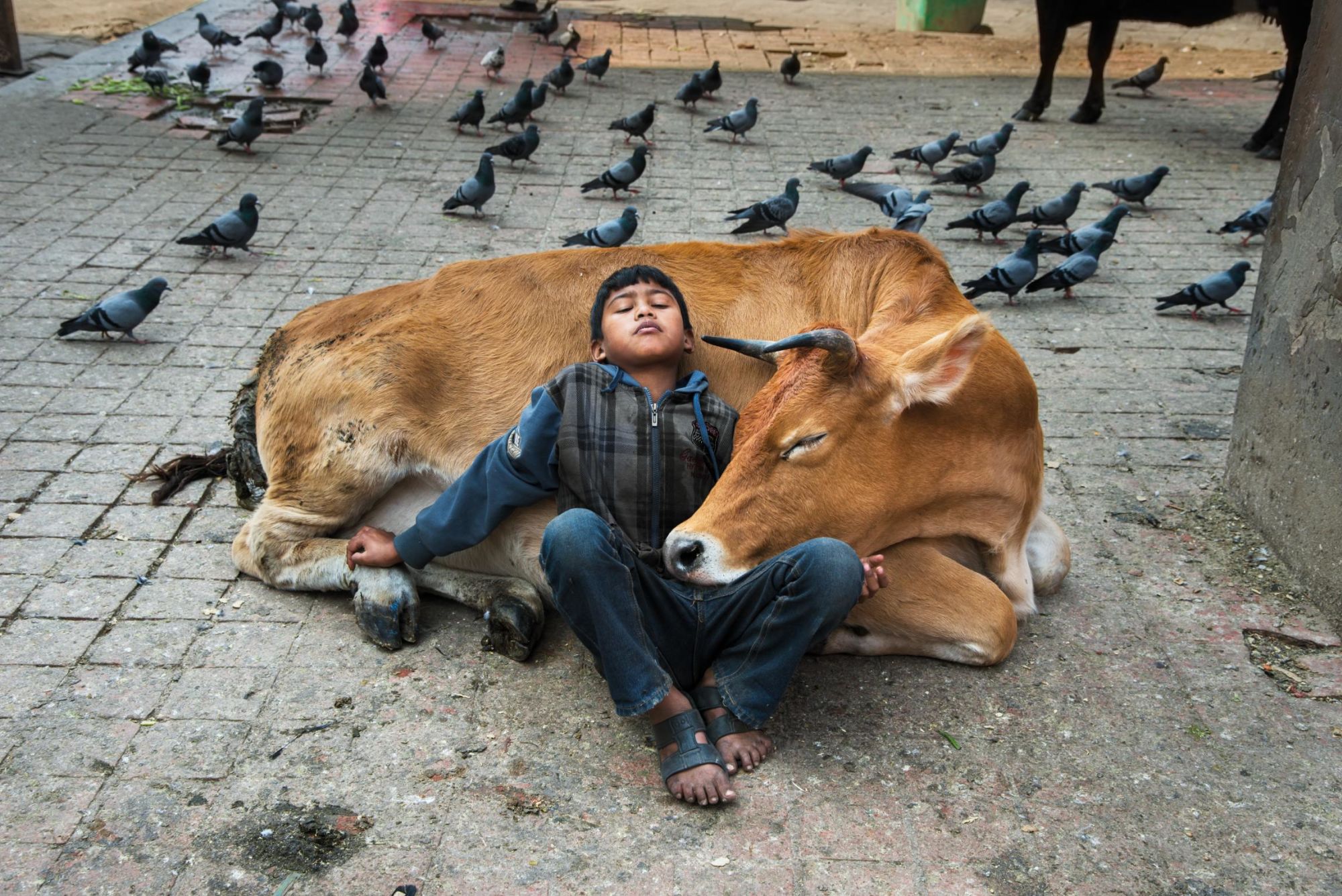 Steve McCurry's photos show the complex relationship between