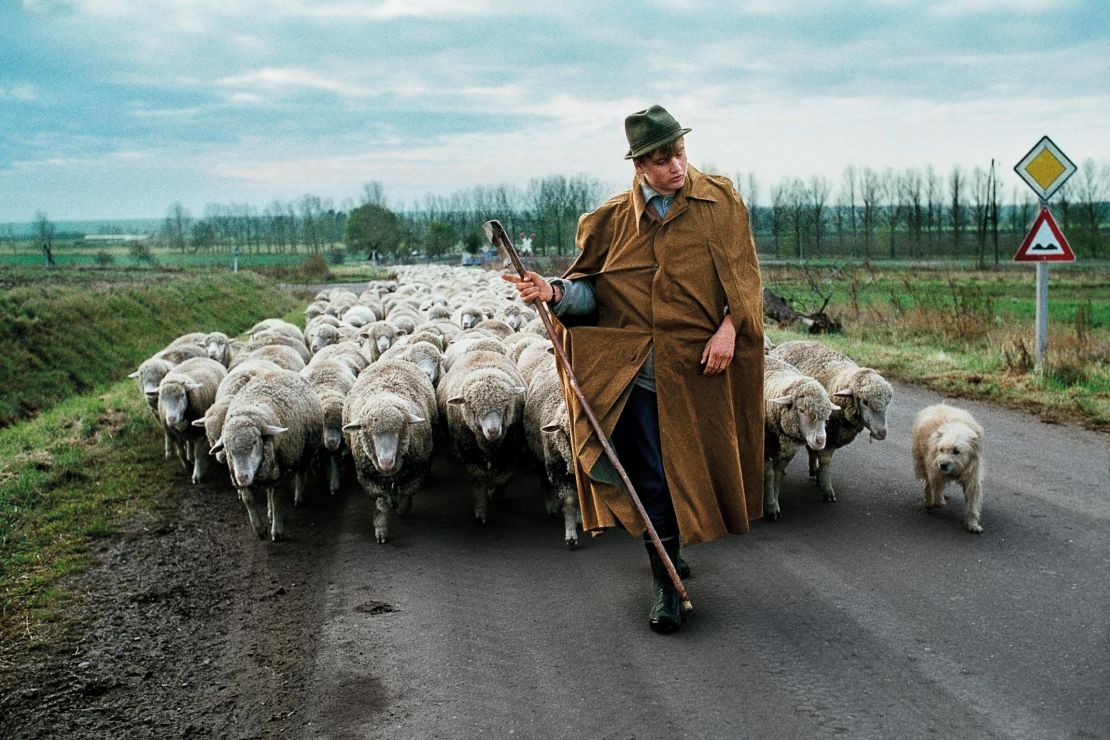 A man walks with a herd of sheep near Magdeburg, in the former German Democratic Republic, DDR, 1989.