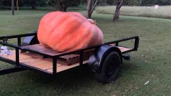 01 pumpkin boat 1022