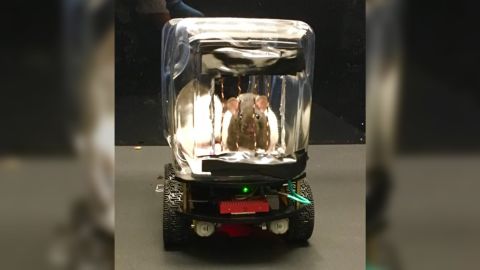 Beep beep! Rat comin' through in search of Froot Loops. They're adorable drivers, but the activity proved a mentally stimulating one that improved their emotional resilience. 