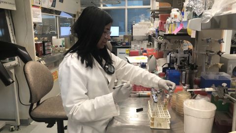 LanzaTech's synthetic biology lab.