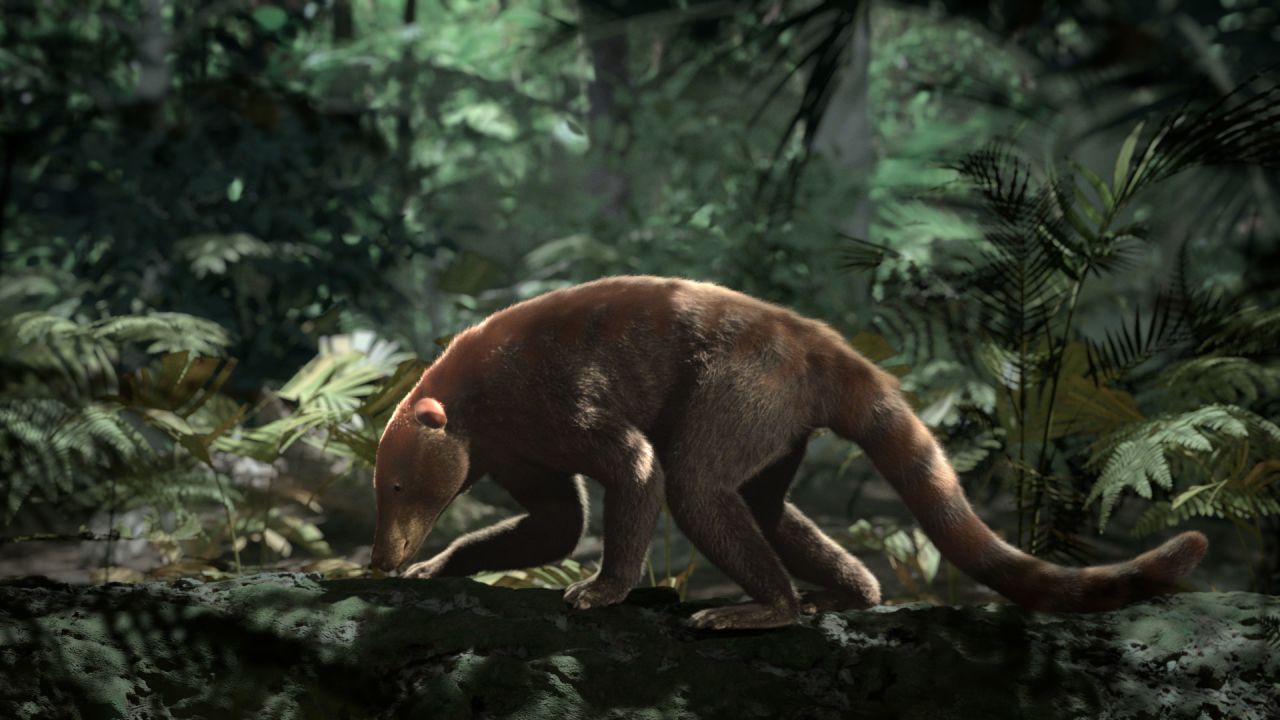 About 200,000 years after the extinction event, mammals like Loxolophus could find food in forests dominated by palm trees. 