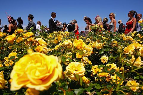 The crowd walk past spring flowers during the 2004 Melbourne Cup.