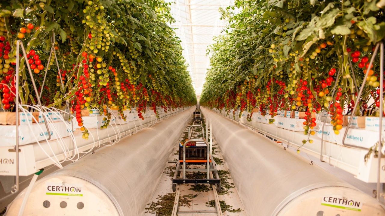 UAE start-up Pure Harvest is aiming to resolve the growing issue of food security in the country through high-tech "smart" greenhouses that maintain a controlled climate and optimal conditions for growing on a year-round basis. 