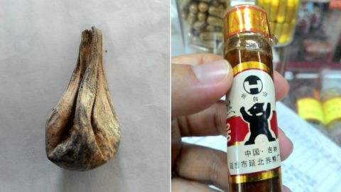 Bear bile products for sale in Malaysia, identified by wildlife NGO Traffic. The gall bladder (on the left) was found in a shop in Selangor, whereas the vial of pure bile (on the right) was allegedly imported from China.