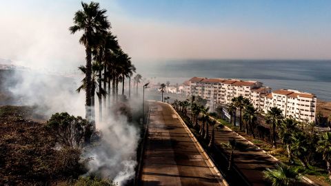Aerial view of palms and brush burning at Real Del Mar, outside of Tijuana