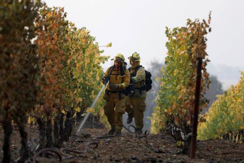 A team of firefighters put out a smoldering vine in Healdsburg.