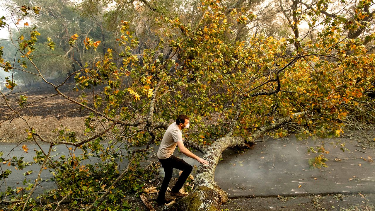 Brennan Fleming jumps a fallen tree while helping his girlfriend evacuate horses stranded by the Kincade Fire in Healdsburg, Caliornia, on October 27.
