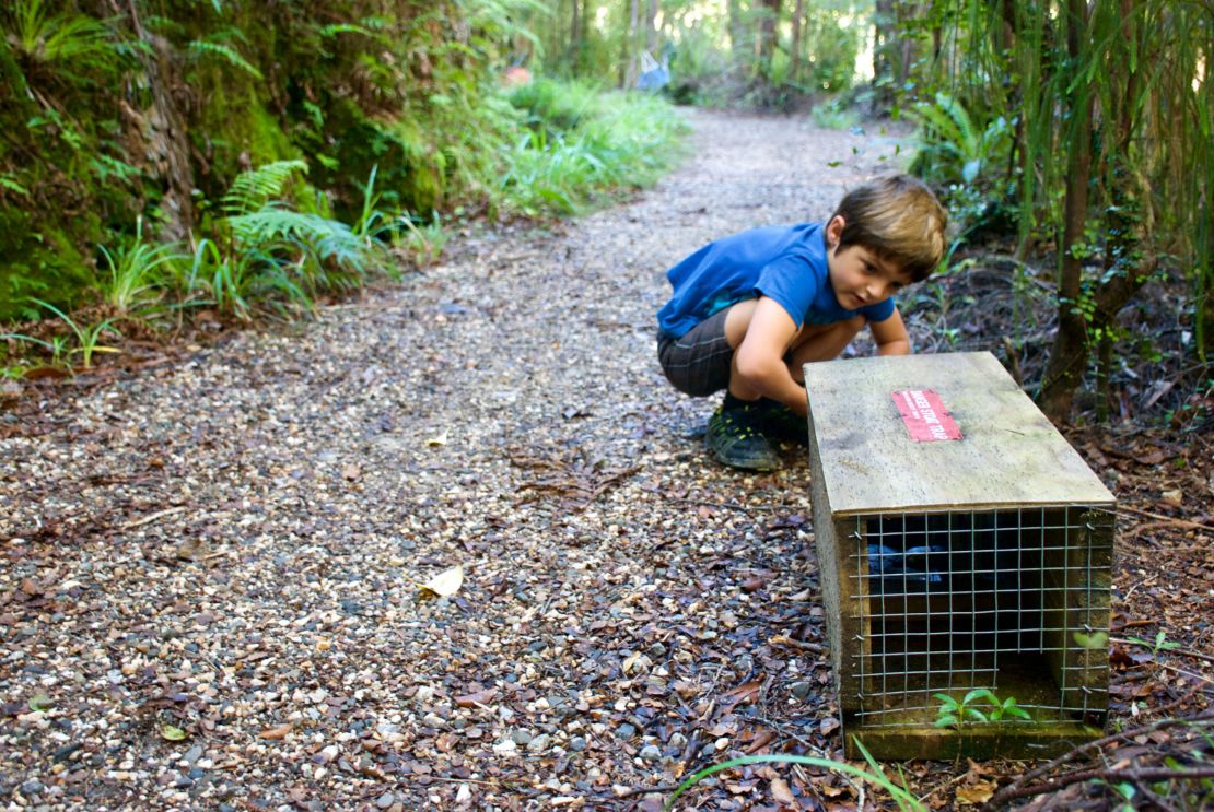 Community groups are actively involved in trapping New Zealand's unwanted pests.