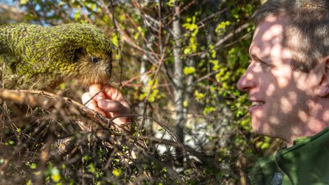 Andrew Digby has a chat with a kakapo.