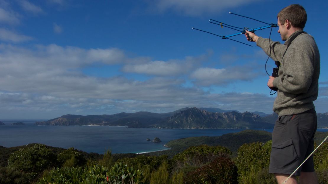 Andrew Digby uses an aerial to monitor birds on Whenua Hou.