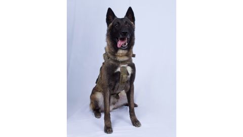President Trump tweeted this declassified photo of a military dog that participated in the raid on Abu Bakr al-Baghdadi's compound.