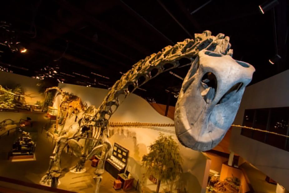 <strong>Museum of Ancient Life:</strong> One of the world's largest dinosaur displays draws visitors to the Museum of Ancient Life in Lehi, Utah. The exhibit includes 60 complete skeletons, including Supersaurus, the largest dinosaur ever discovered.