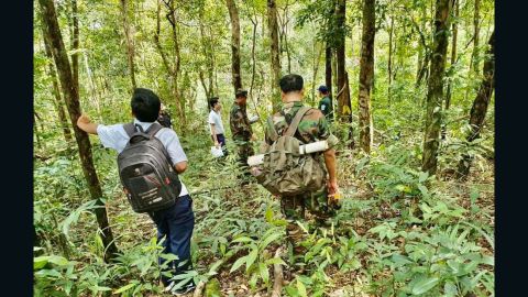 People search for missing British backpacker Amelia Bambridge on Koh Rong island.