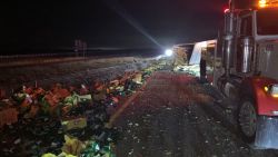 texas avocado crash 2