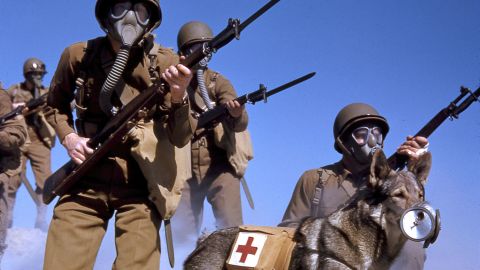 1943: A group of US Army soldiers, rifles in hand, wear a gas masks during a training exercise related to chemical attacks in California. Along with the soldiers, a dog with a first aid pack strapped to it wears a special muzzle filter to protect it from gas.