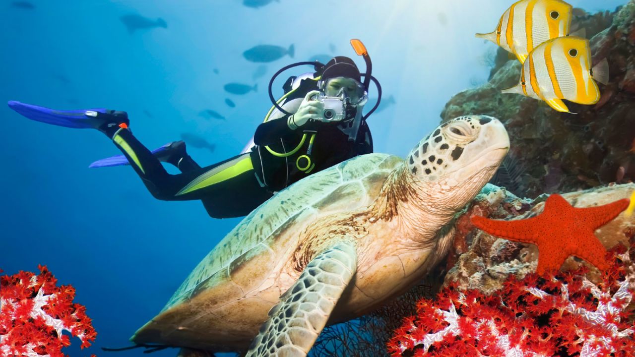 <strong>Diver's paradise:</strong> Sri Lanka is renowned for its beautiful dive sites and abundant marine life.