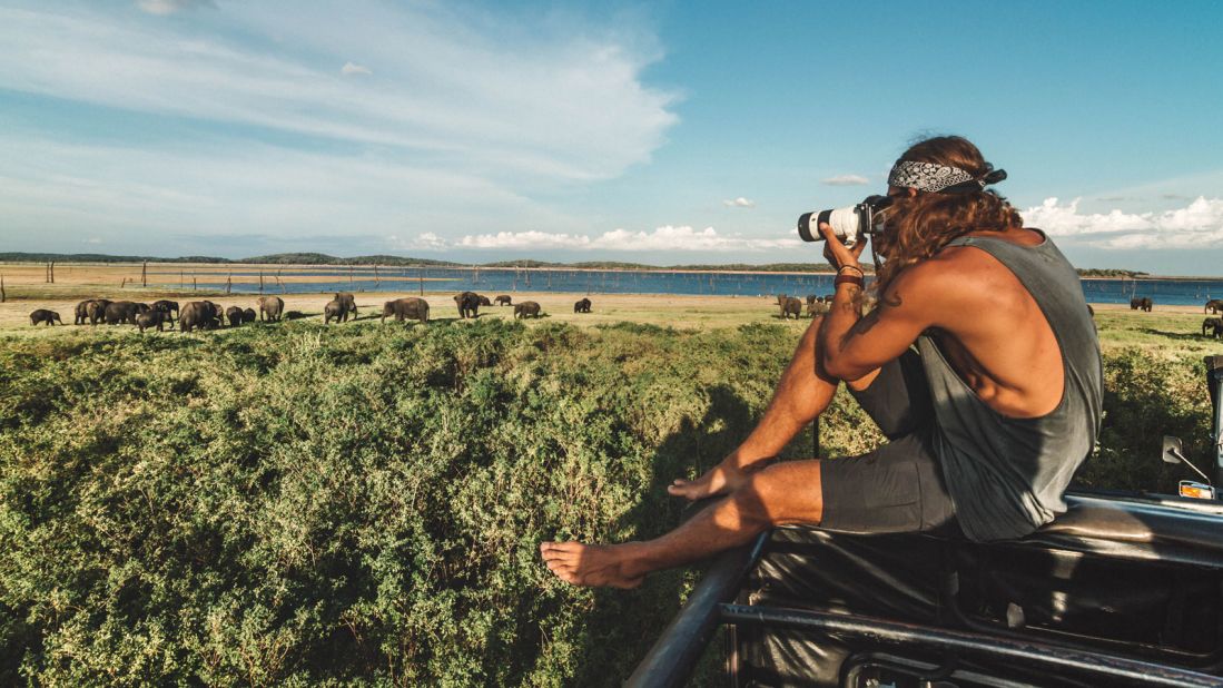 <strong>Wildlife wonders: </strong>Sri Lanka is home to a wide range of wildlife, such as elephants, blue whales and sloth bears.