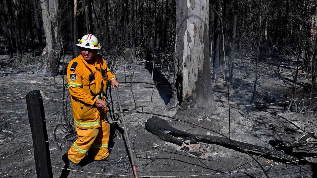 72 bush and grass fires are ablaze in the state, which is home to a koala breeding hotspot, experts say.