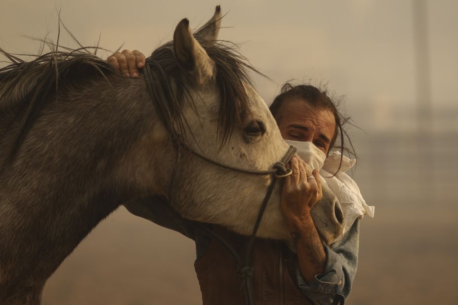 Fabio Losurdo comforts his horse, Smarty, at a ranch in Simi Valley on October 30.