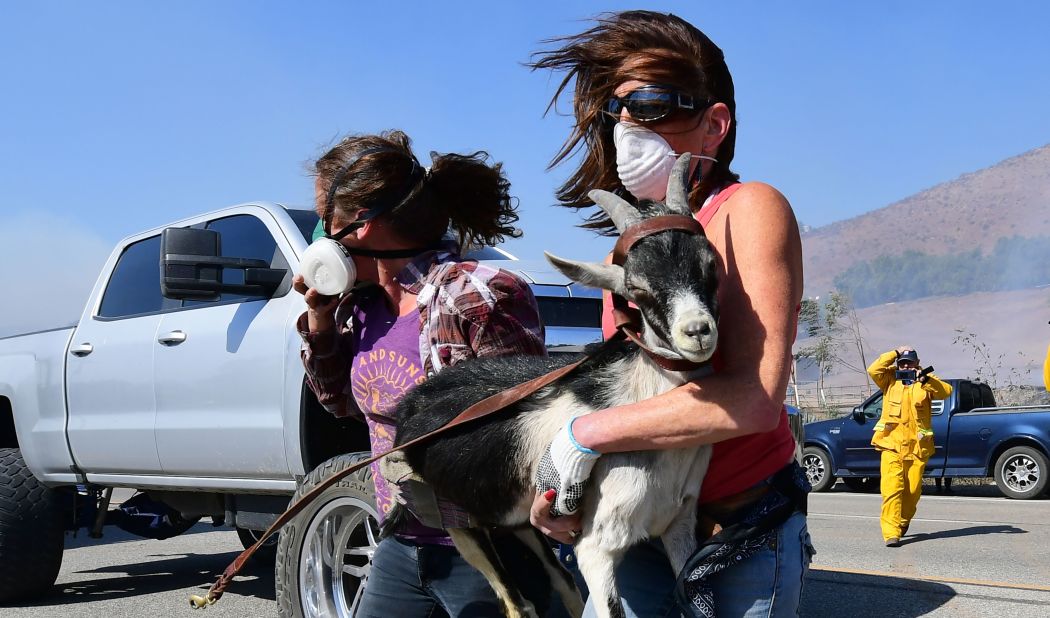 Laura Horvitz, right, and Robyn Phipps help rescue goats from a ranch near the Reagan Presidential Library.
