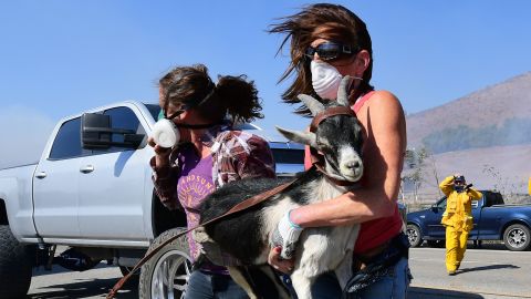 Laura Horvitz, right, and Robyn Phipps help rescue goats from a ranch near the Reagan Presidential Library in Simi Valley.