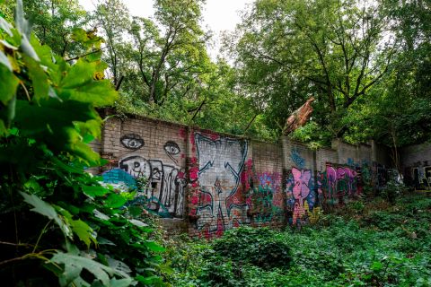 A graffiti-covered, overgrown segment of the original Berlin Wall, pictured in September 2019.