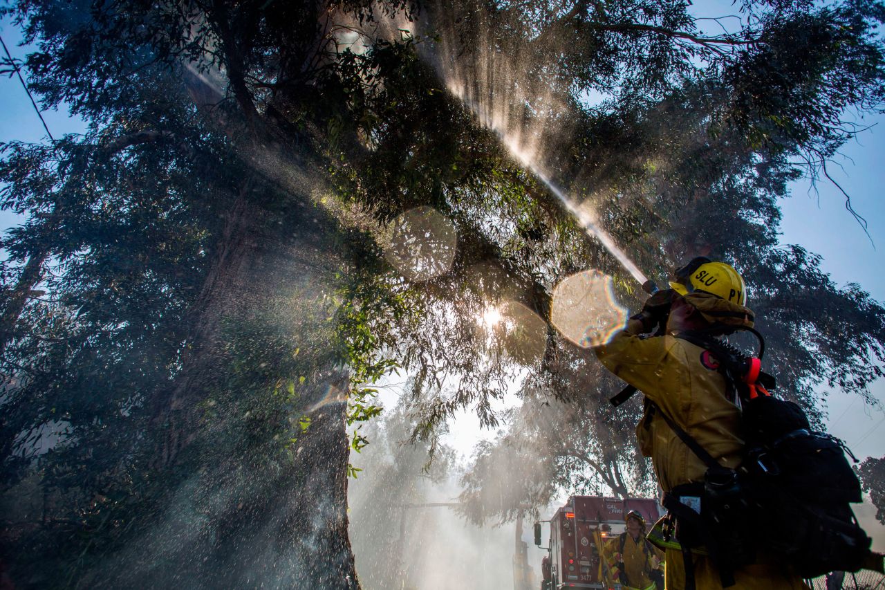 Firefighters spray water onto a tree while fighting the Maria Fire in Ventura County, California, on November 1.