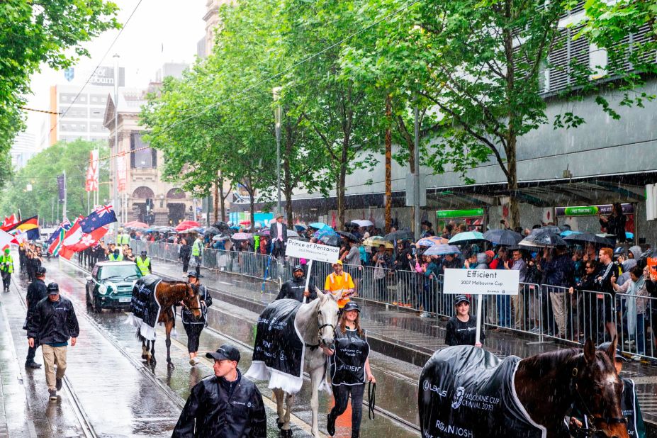 The parade features a pageant of racing royalty including retired race horses, such as 2007 winner Efficient and 2015 champion Prince of Penzance.
