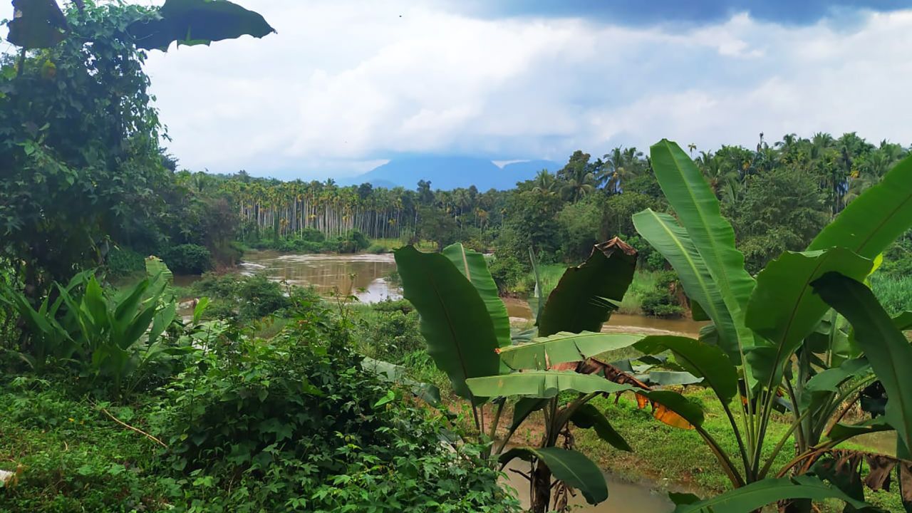 A shot taken on the outskirts of Koodathai, October 24, 2019.