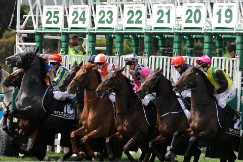 Horses jump out of the gates to begin Race Seven, the Lexus Melbourne Cup.